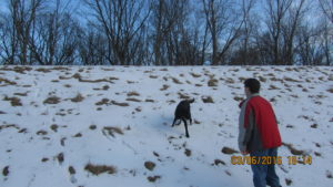 Trixie running down a hill towards Brad.