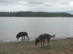 sandy-and-trixie-at-the-beach